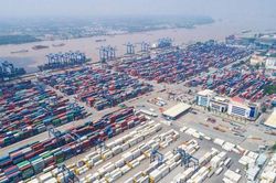Tại sao phải tái xuất hơn 1.000 container tại cảng Cát Lái?