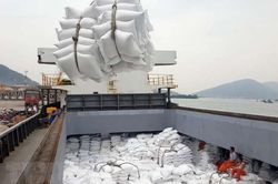 Xuất khẩu lô hàng gạo thơm đầu tiên sang châu Âu theo hiệp định EVFTA