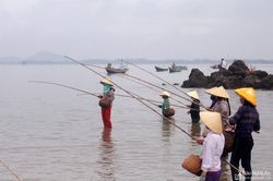 Phụ nữ vùng biển Nghệ An vào mùa câu cá sủ vòi quý hiếm