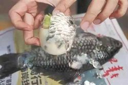 6 mẹo cạo vảy cá dễ dàng không lo bắn bẩn, chị em nhất định phải biết