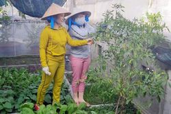'Mỗi khi về quê lại thương và nhớ anh chị em ở đảo vô cùng'