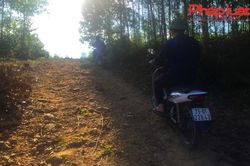 Trang trại bò rộng gần 250ha chỉ nuôi vài con bò, sắp nuôi thử…vài con lợn