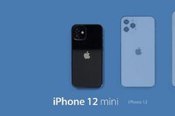iPhone 12 nhỏ nhất sẽ có tên Mini