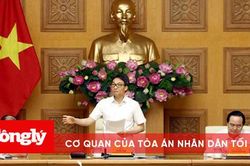 Phó Thủ tướng Vũ Đức Đam: Cấm mọi hình thức 'khuyến khích' đưa sách tham khảo vào trường học