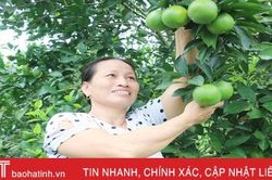 Cặp vợ chồng bắt đất 'nhả vàng' ở huyện miền núi Hà Tĩnh