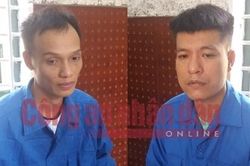 20.000 viên MTTH giấu trong hộp sữa theo đường Bưu điện về Việt Nam