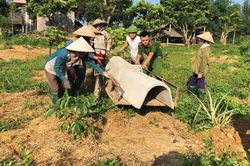 Mặt trận cùng dân xây dựng nông thôn mới