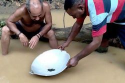Dân Indonesia đổ xô đi đãi vàng giữa đại dịch