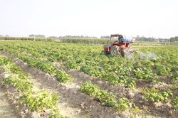 Hà Nội thúc đẩy sản xuất vụ Đông
