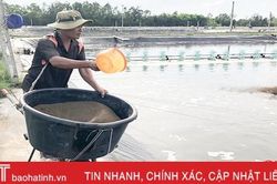 Thời tiết 'đỏng đảnh' người nuôi chủ động phòng ngừa bệnh cho tôm