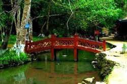 Suối Cá Thần