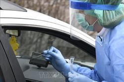 Phần Lan thí điểm sử dụng chó phát hiện virus SARS-CoV-2 tại sân bay Helsinki