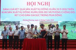 Triển khai kế hoạch sản xuất vụ đông xuân 2020-2021 và phòng, chống đói, rét cho đàn gia súc
