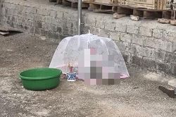 Hoảng hồn phát hiện thi thể trẻ sơ sinh bị vứt bỏ trong túi nilon