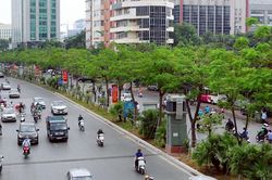 Hà Nội sắp hoàn thành kế hoạch trồng 600.000 cây xanh