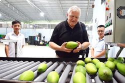 Mỹ cử chuyên gia hỗ trợ xuất khẩu trái cây Việt Nam