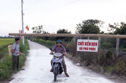 Hà Nam xuất hiện ổ dịch tả lợn châu Phi