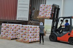 Phó Chủ tịch UBND tỉnh Lê Ngọc Hoa: Tháo gỡ khó khăn, tạo điều kiện doanh nghiệp phát triển