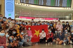Đưa 340 công dân Việt Nam từ Israel về nước
