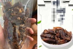 Bất ngờ chưa! Snack gián đã ra đời, bạn có muốn ăn thử không?
