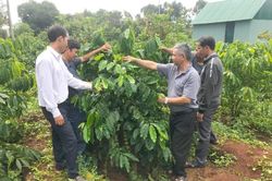 Hội Nông dân xã Ia Tô đổi mới phương thức hoạt động