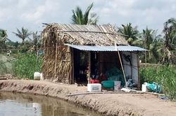 Ba người tử vong trong chòi tôm nghi trúng độc