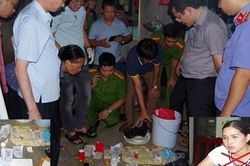 Lừa cháu họ ra khỏi nhà, cô phá két sắt trộm hơn 1 tỷ đồng