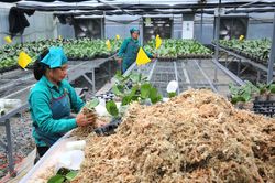 Tập trung xây dựng người nông dân thời kỳ mới