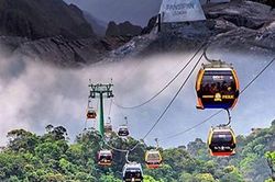 RƯỚC DÂU BẰNG CÁP TREO