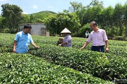 Nghệ An: Tiếp thêm nguồn lực từ chương trình nâng hạn mức cho vay