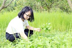 Khởi nghiệp từ niềm đam mê làm vườn