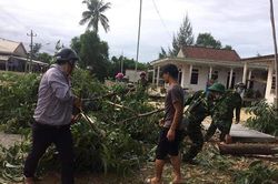 Chủ động các phương án đảm bảo hiệu quả phòng, chống thiên tai