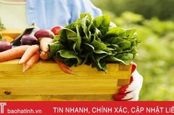 16 mẹo làm vườn giúp bạn tiết kiệm thời gian