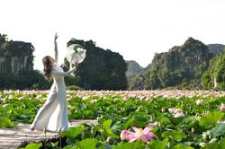Ngắm mùa hoa sen nở rộ tại Ninh Bình