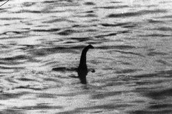 Tiết lộ âm mưu bắt cóc quái vật hồ Loch Ness để trưng bày