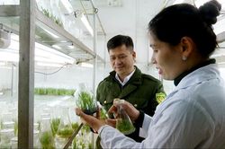 Nhiều giải pháp bảo tồn đa dạng sinh học