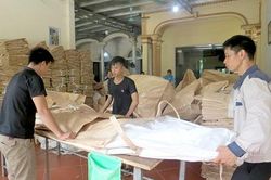 Hỗ trợ giải quyết việc làm cho người lao động
