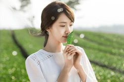 Chỉ tốn 10 ngàn mua lá chè xanh dùng, da ngày một sáng mịn, thâm mụn cũng bay sạch