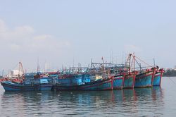 Hơn 2.270 lượt tàu cập cảng Hòn Rớ