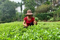 Nông dân Bắc Cường thi đua sản xuất, kinh doanh giỏi