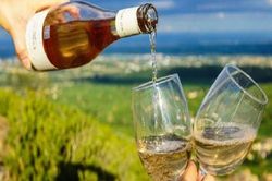 Ngồi thưởng thức đồ uống mà kiếm được tiền triệu mỗi ngày