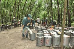 Chứng khoán 29/9: Nhóm săm lốp 'dậy sóng' nhờ thông tin M&A từ Vinachem