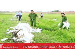 Đức Thọ tiêu hủy hàng trăm con cò giả làm mồi nhử săn bắt chim trời