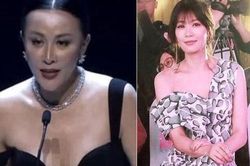 Luôn khẳng định tình cảm bền vững, tại sao Lưu Gia Linh không gặp Lương Triều Vỹ nửa năm qua?