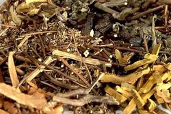Tự điều trị viêm gan B bằng thuốc nam, bệnh nhân hôn mê xin về nhà chờ chết