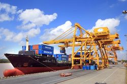 Hoạt động xuất nhập khẩu: Đóng góp quan trọng vào tăng trưởng kinh tế