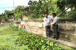 Nuôi thủy sản tập trung - hướng phát triển bền vững