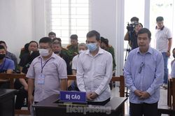 Phạt tù các lãnh đạo Ban quản lý Nghi Sơn vì lập quỹ đen
