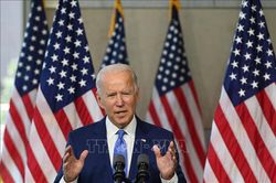 Bầu cử Mỹ năm 2020: Ứng cử viên Joe Biden công bố các dữ liệu khai thuế năm 2019