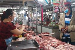 Thịt heo Tết Tân Sửu sẽ không khan hàng sốt giá